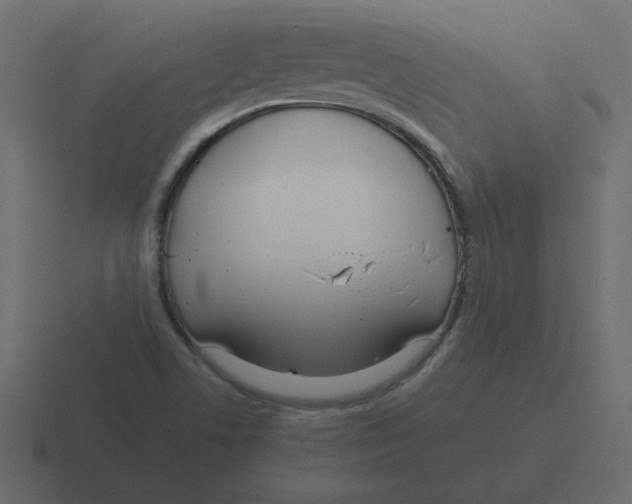 X0000116391506200912291740