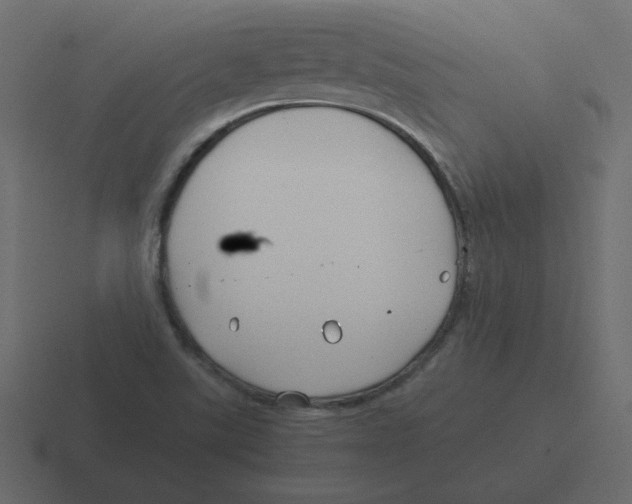 X0000116391507200912291740