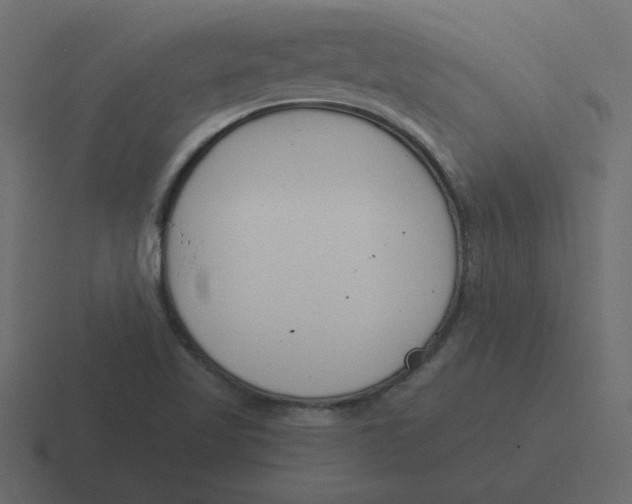 X0000116391509200912291740