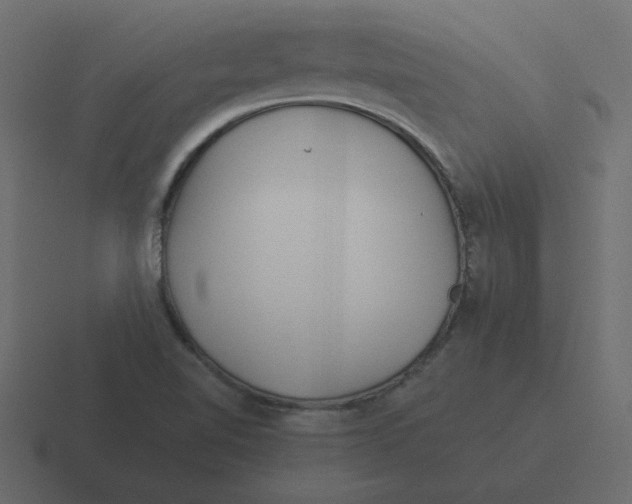 X0000116391510200912291740