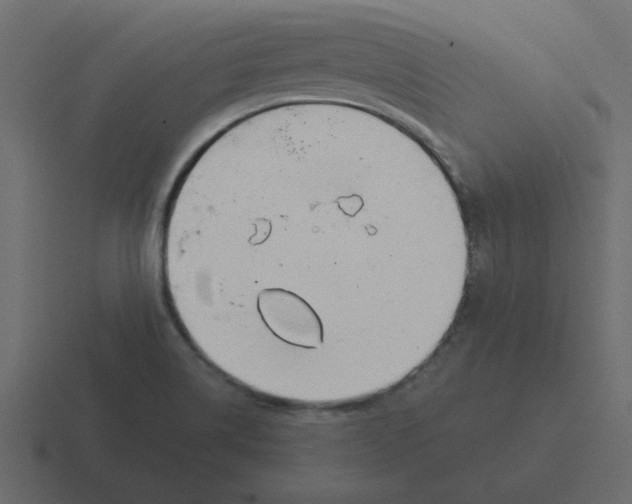 X0000116391514200912291740