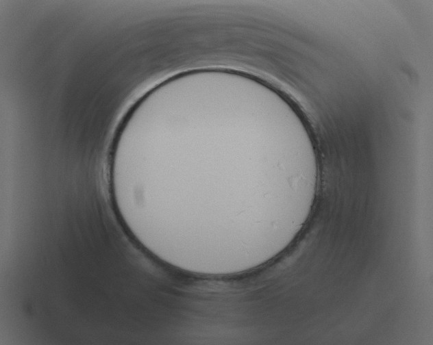 X0000116391517200912291740