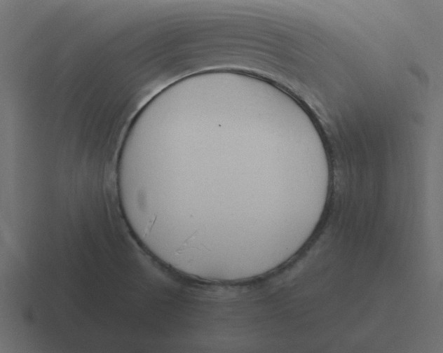 X0000116391521200912291740