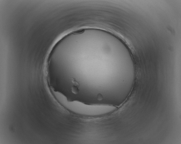 X0000116391522200912291740