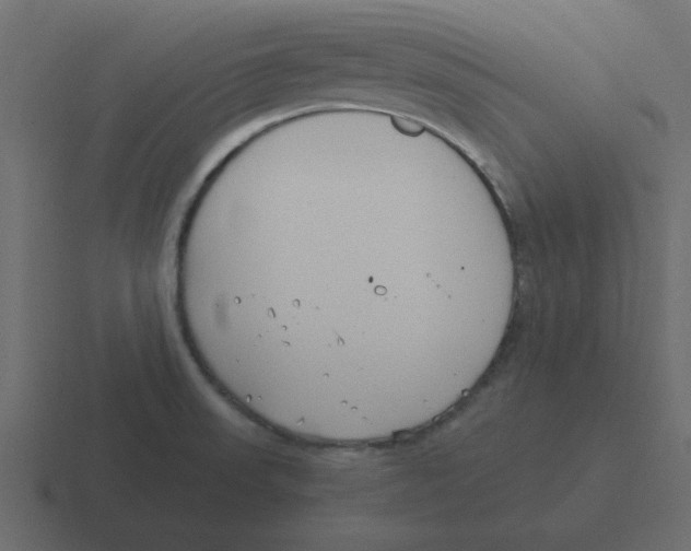 X0000116391523200912291740