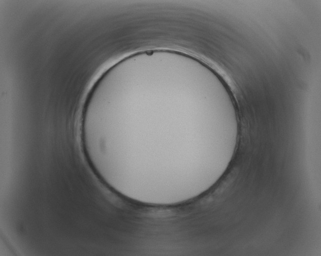 X0000116391525200912291740