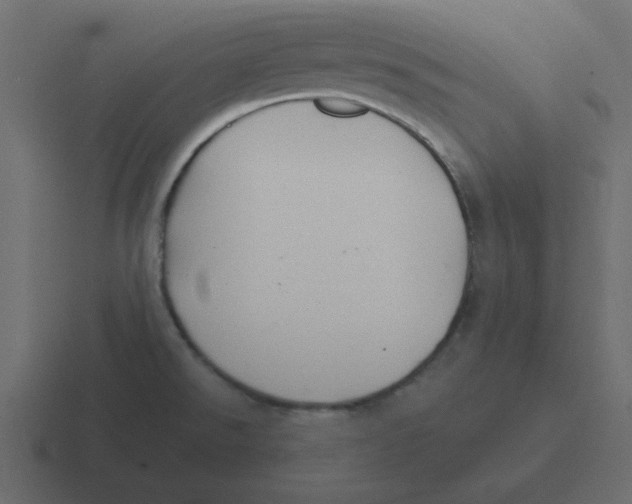 X0000116391526200912291740