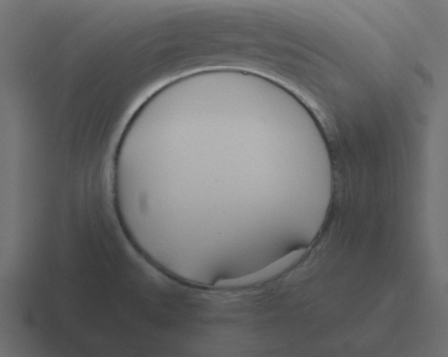 X0000116391527200912291740