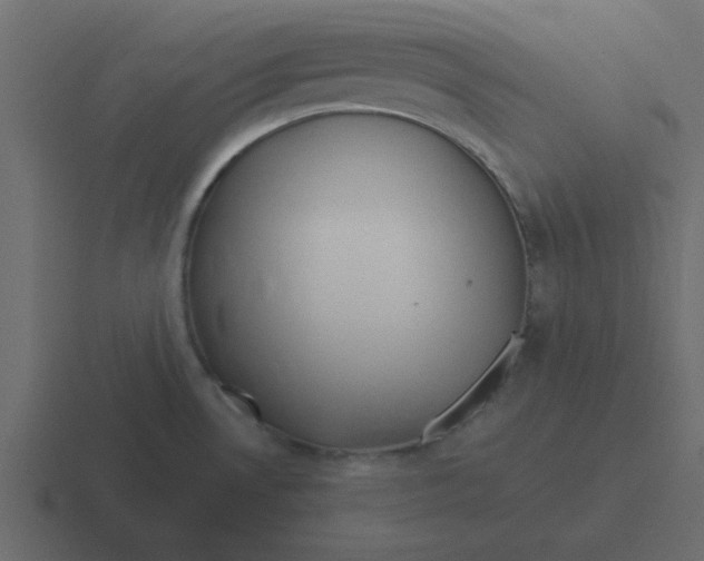 X0000116391530200912291740