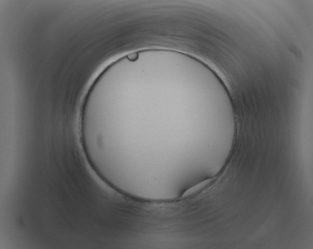 X0000116391531200912291740