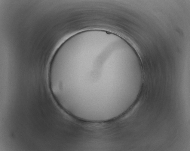 X0000116391533200912291740