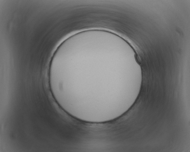 X0000116391534200912291740