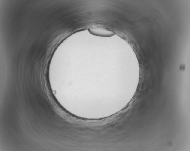 X0000116390001201001131839