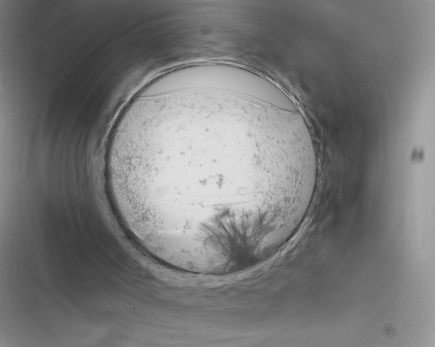 X0000116390002201001131839