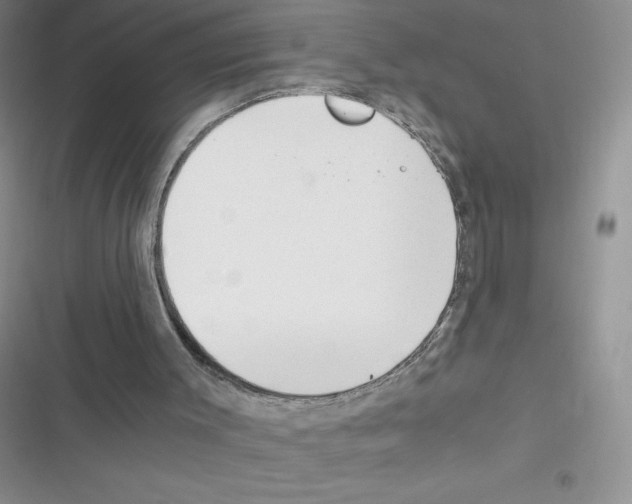 X0000116390003201001131839