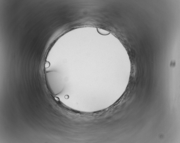 X0000116390004201001131839