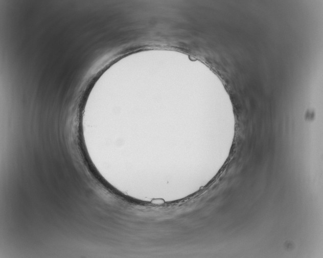X0000116390005201001131839