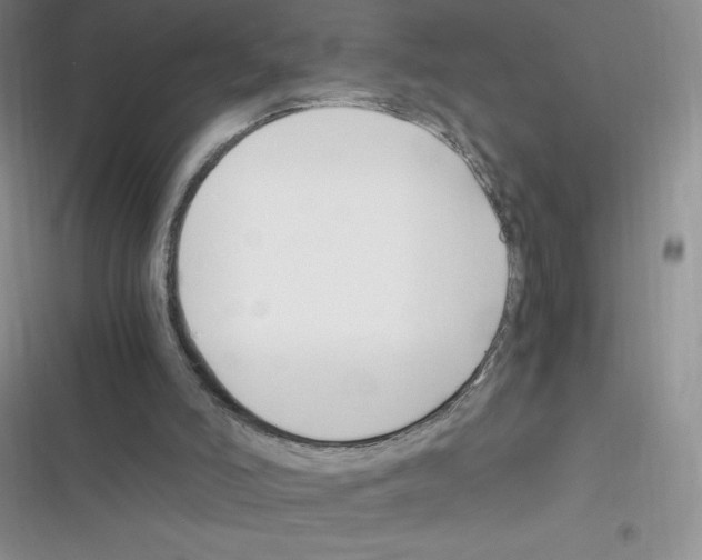 X0000116390006201001131839
