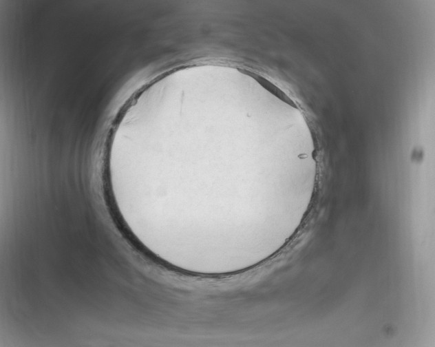 X0000116390007201001131839