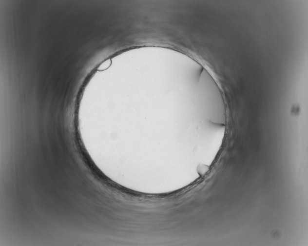 X0000116390008201001131839