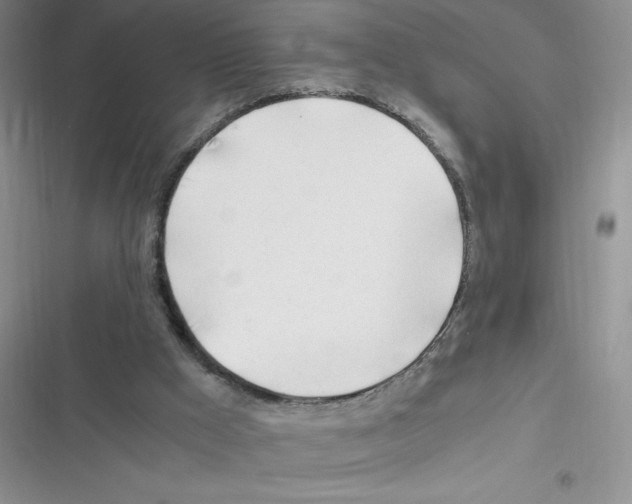 X0000116390009201001131839