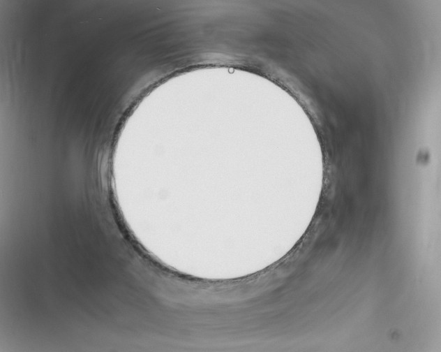 X0000116390011201001131839