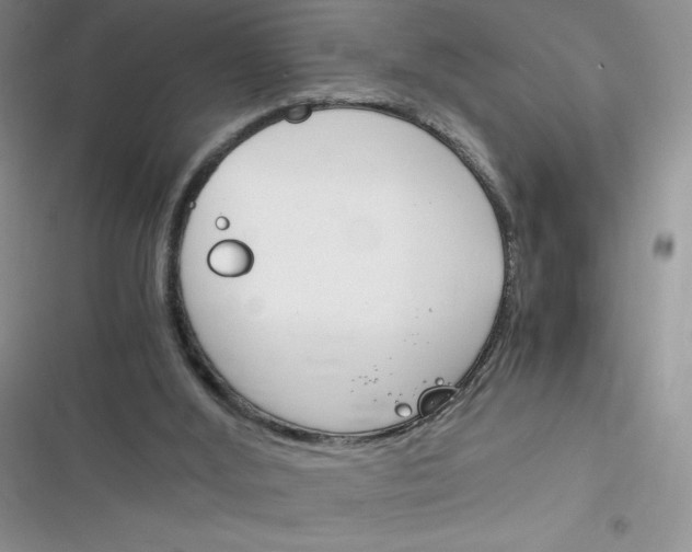 X0000116390012201001131839