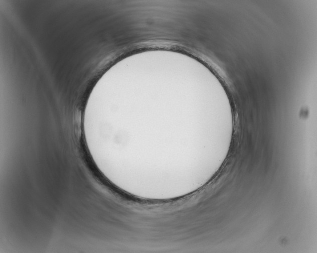 X0000116390013201001131839
