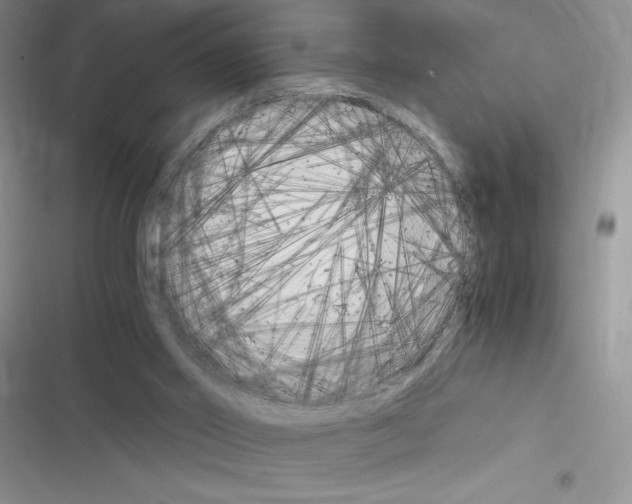 X0000116390014201001131839