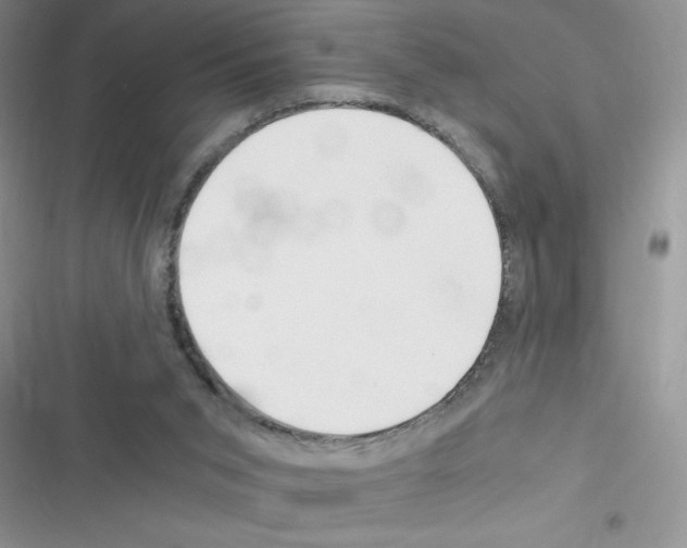 X0000116390015201001131839