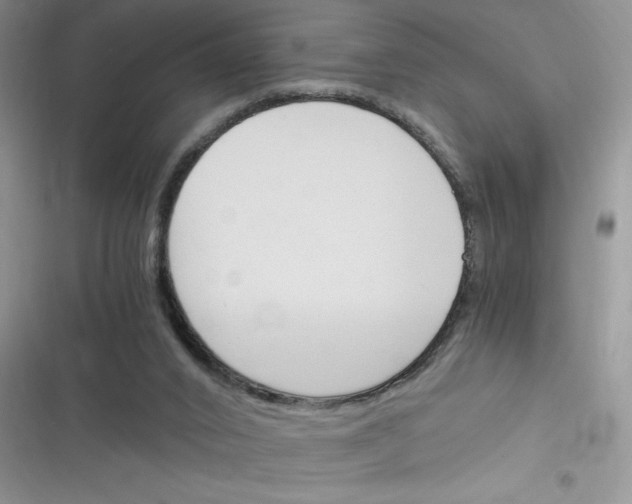 X0000116390016201001131839