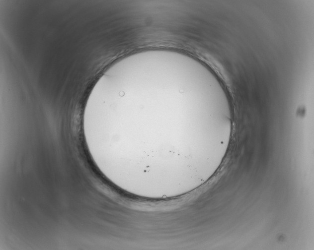 X0000116390017201001131839