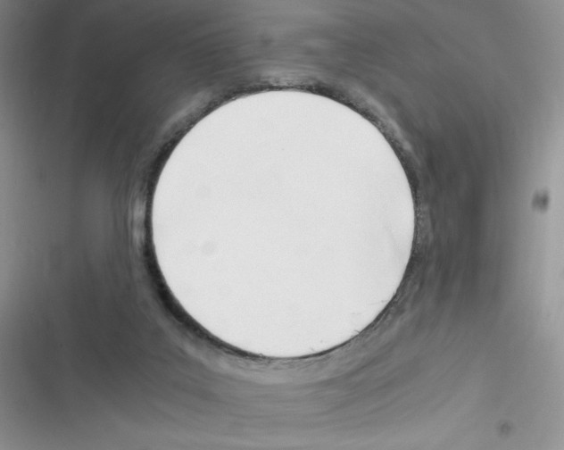 X0000116390019201001131839
