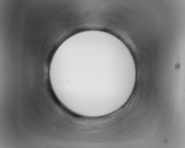 X0000116390021201001131839