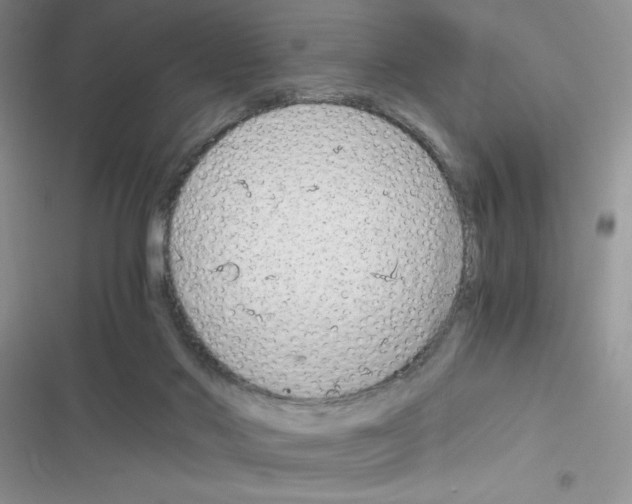 X0000116390022201001131839