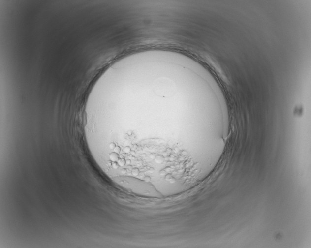 X0000116390023201001131839