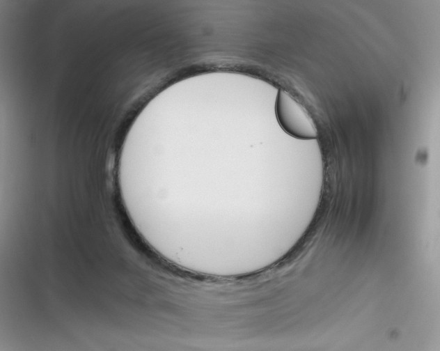 X0000116390024201001131839