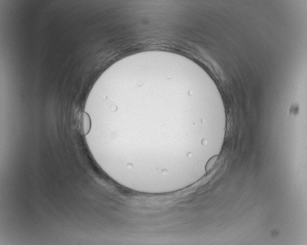 X0000116390025201001131839