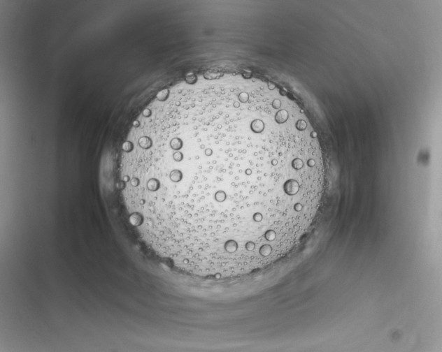X0000116390026201001131839