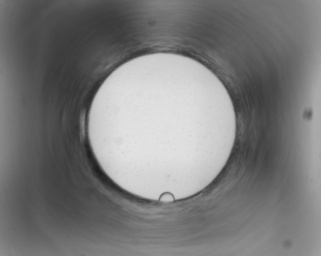 X0000116390028201001131839