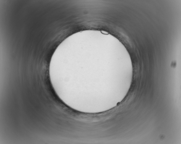 X0000116390029201001131839