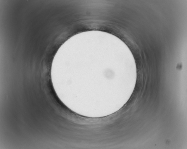 X0000116390031201001131839