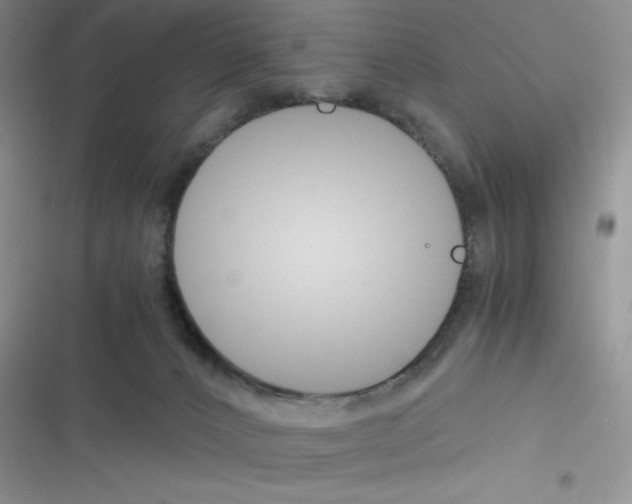 X0000116390032201001131839