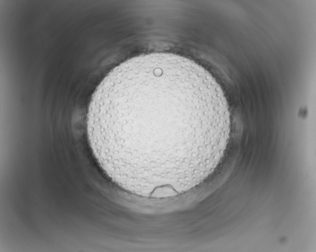 X0000116390034201001131839