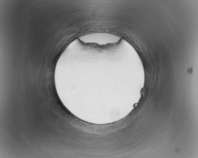 X0000116390035201001131839