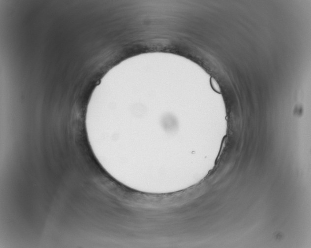 X0000116390037201001131839