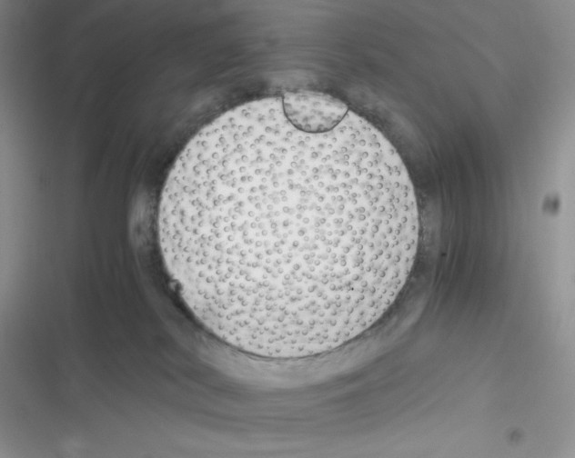X0000116390038201001131839