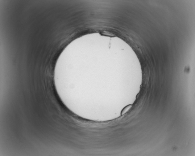 X0000116390040201001131839