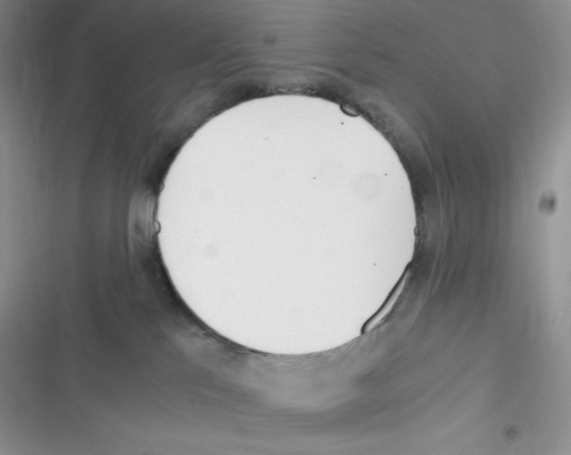 X0000116390041201001131839