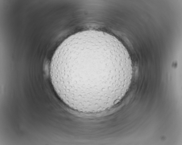X0000116390042201001131839